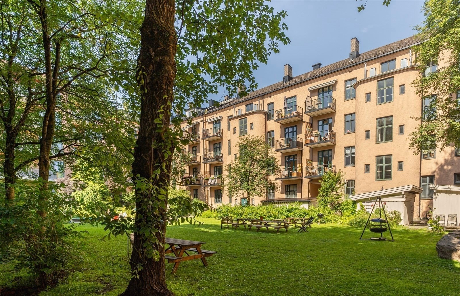 Sommerbilde av bakgård Galleribilde