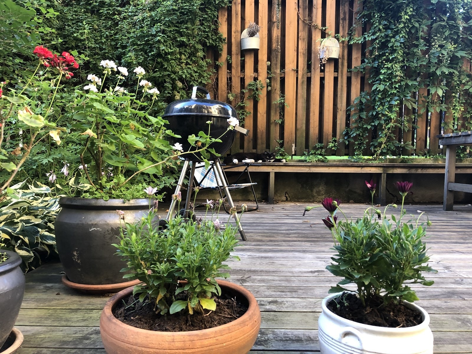 Det er fellesgrill i bakgården. (Selgers private bilder) Galleribilde