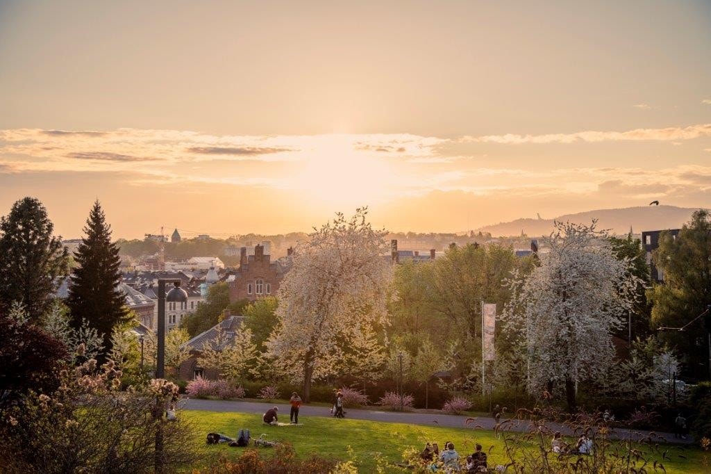 Kun en kort spasertur unna finner du nydelige Botanisk Hage med flotte blomster og planter, museum, cafeer og mer! Galleribilde