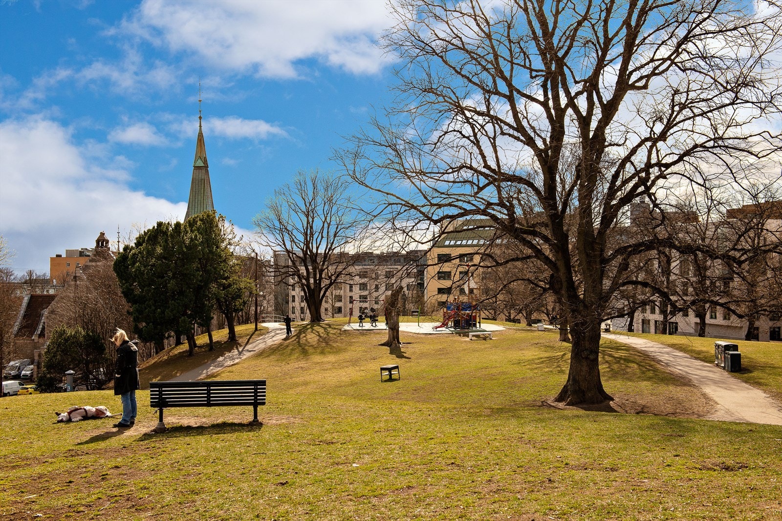 Stensparken Galleribilde
