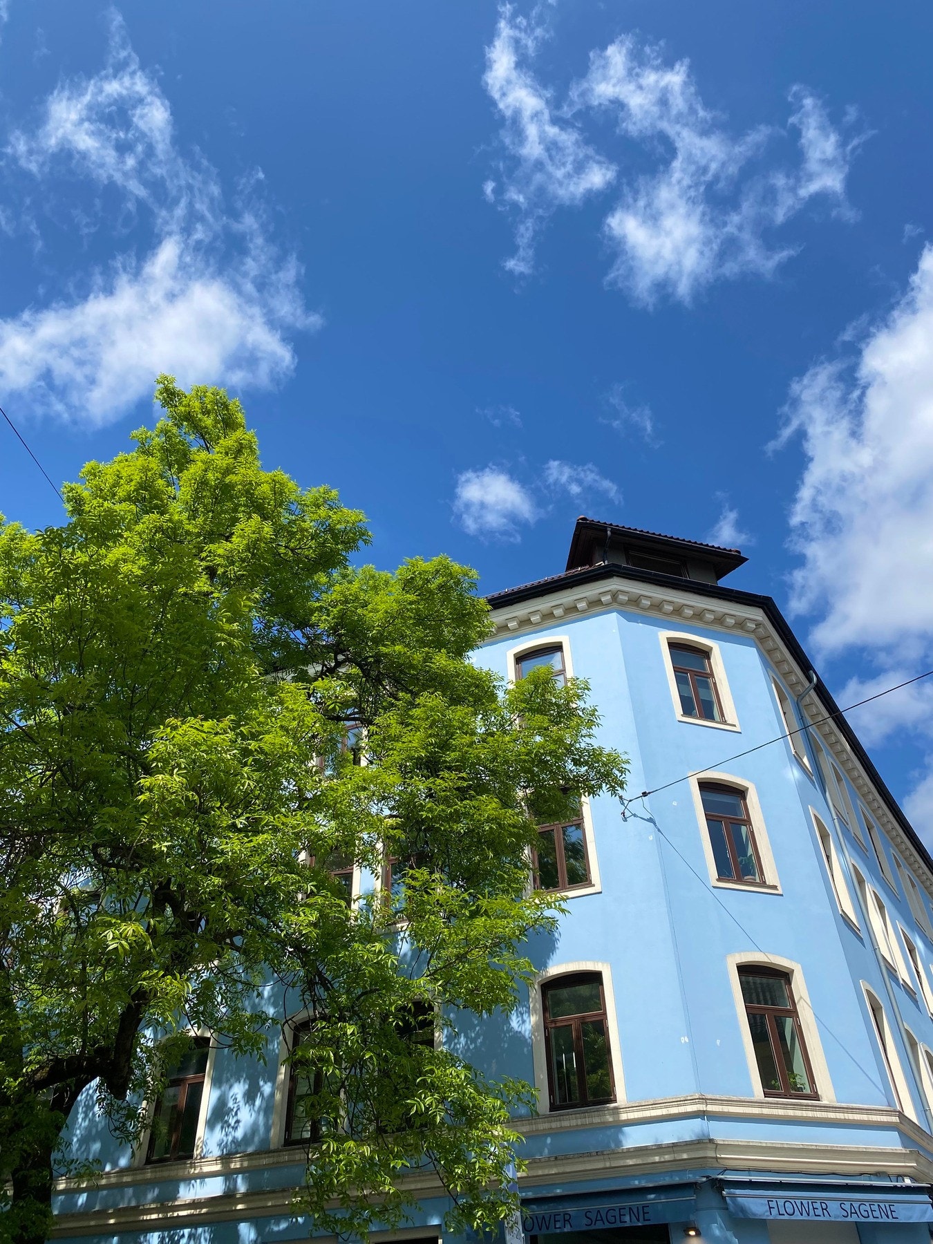 Marimo Borettslag har en sentral beliggenhet på Sagene bestående av 37 andeler og 3 næringsseksjoner, hvor du blant annet har blomsterbutikk i byggets 1. etasje. Galleribilde