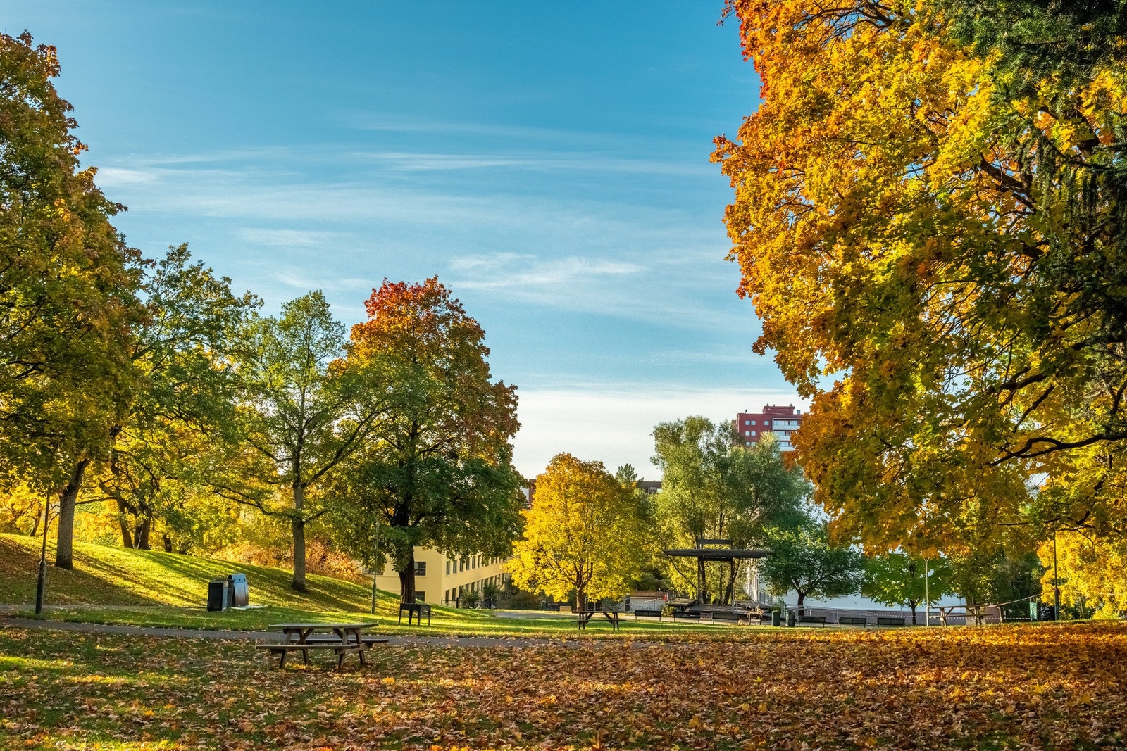 Av parker kan du velge mellom Bjølsenparken og Myraløkka, hvor du er fremme innen du har talt til 3. Galleribilde