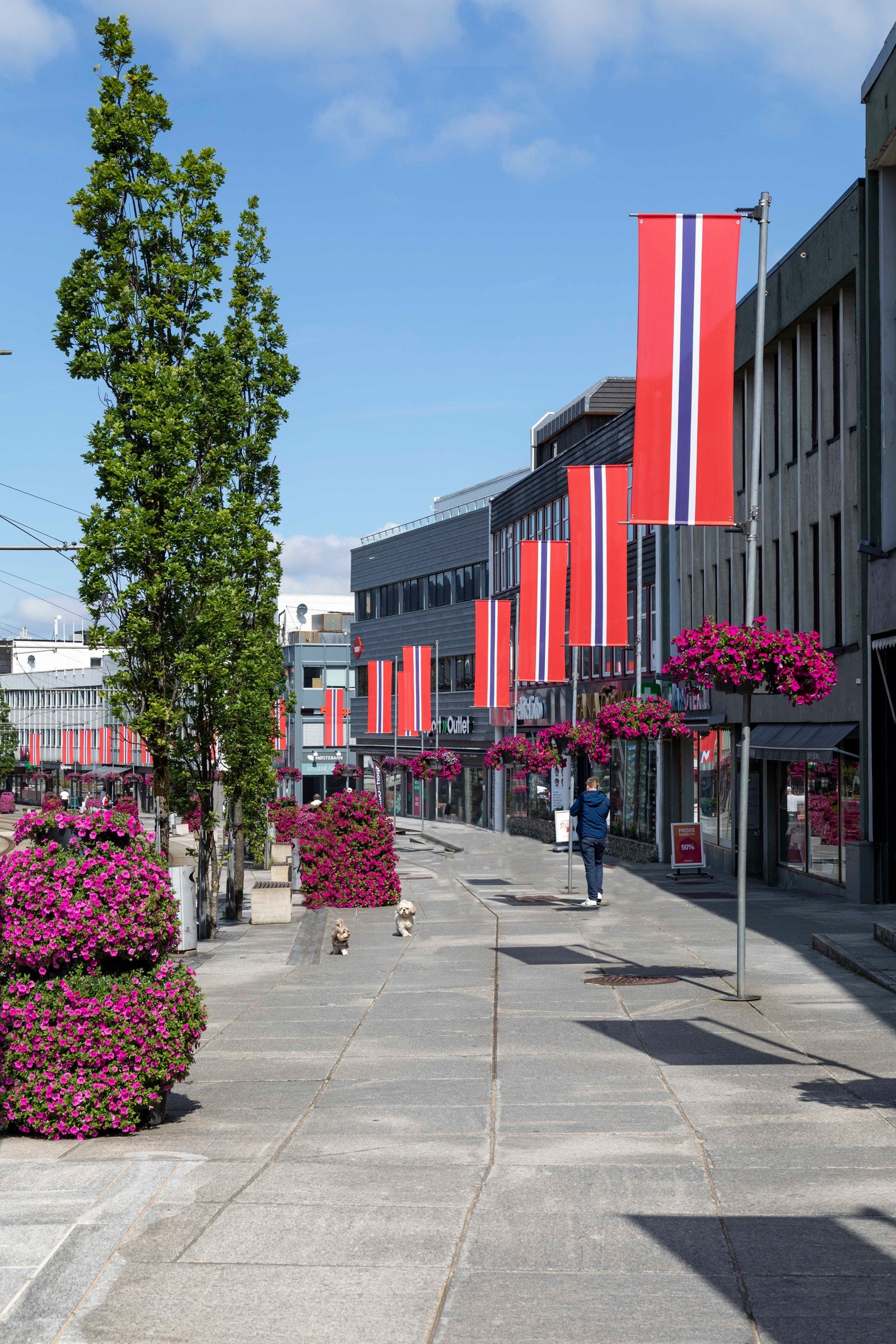Nesttun sentrum vil bli hyppig brukt når man flytter inn! Galleribilde