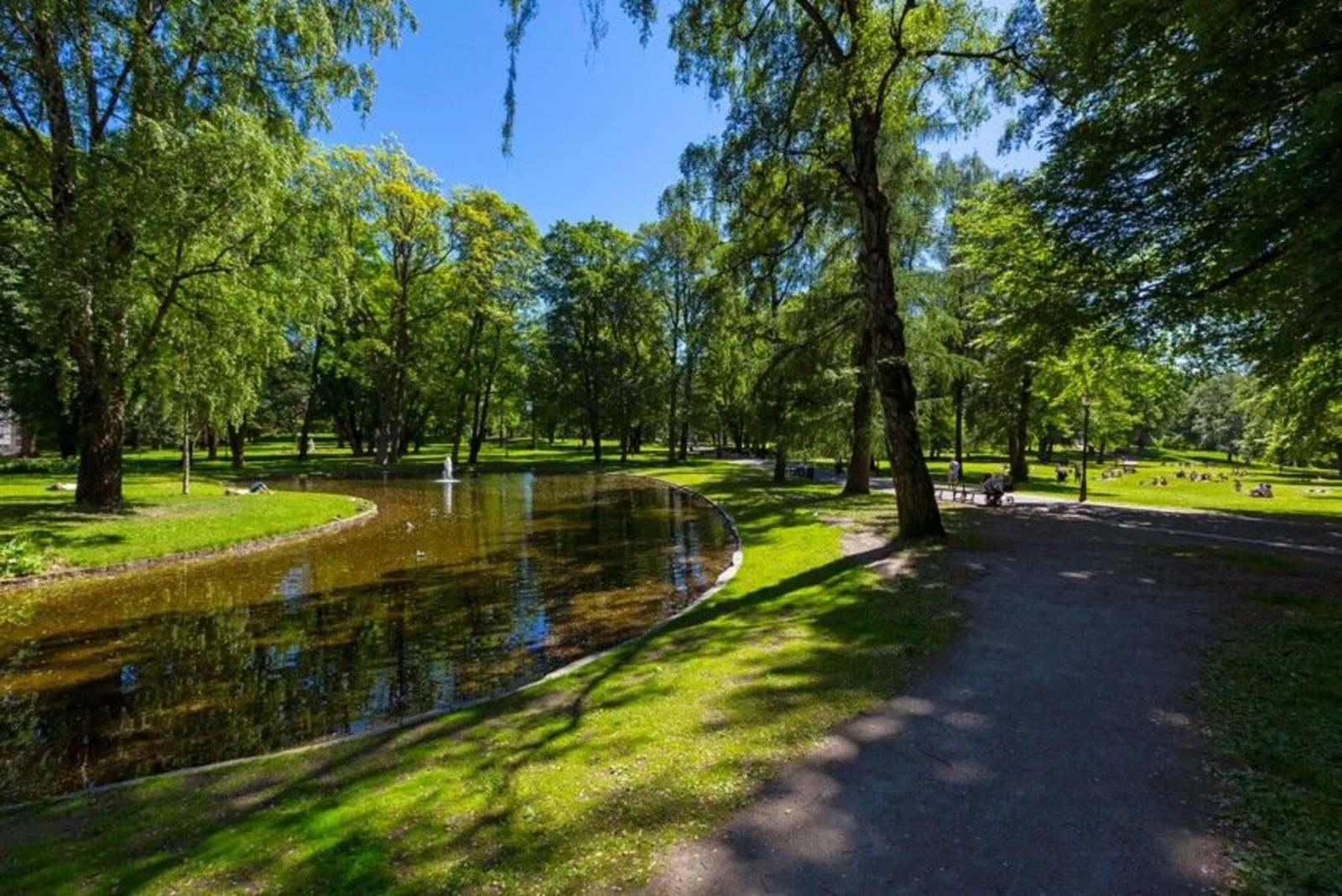 Slottsparken er i umiddelbar nærhet fra leiligheten. Galleribilde