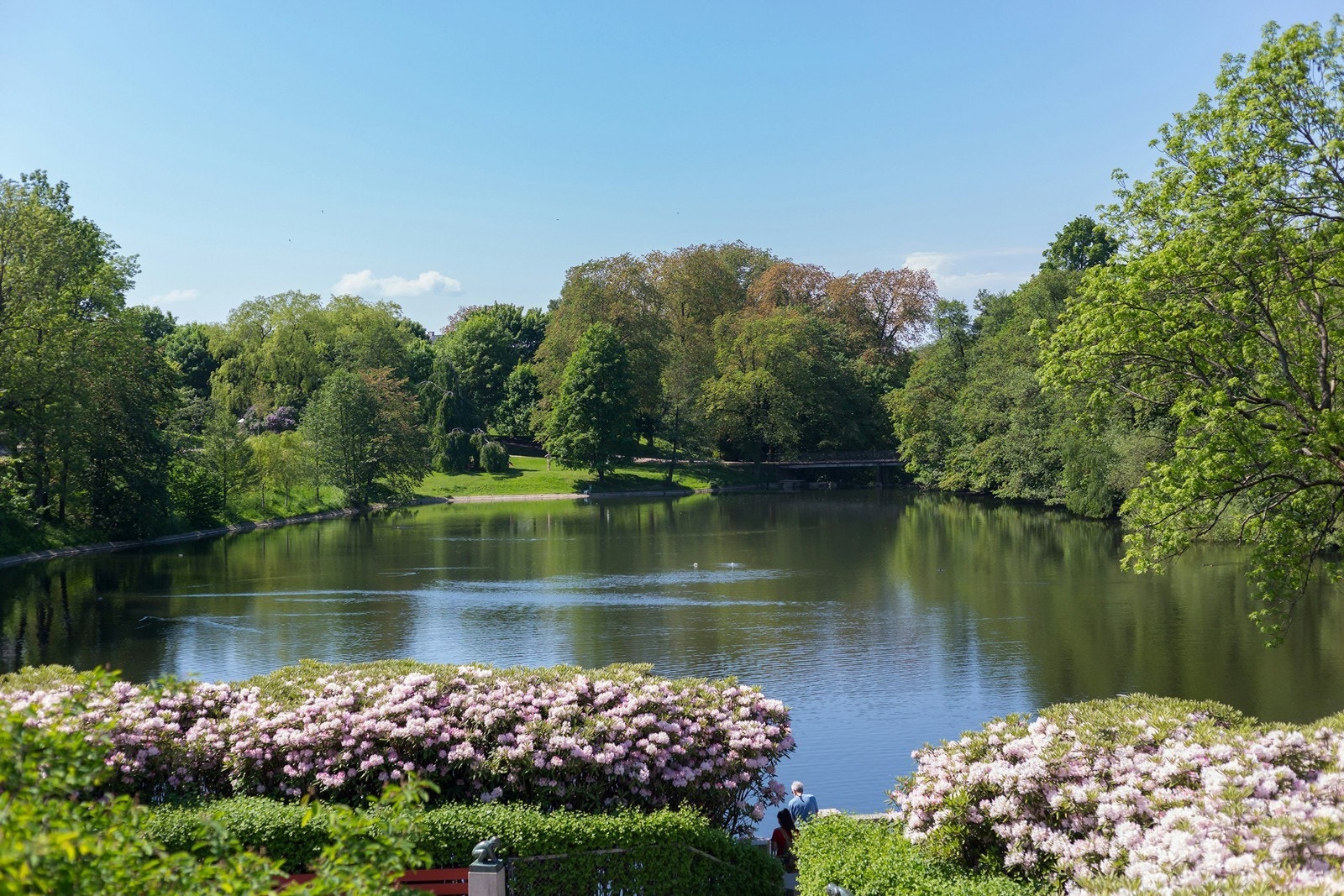 Nærmiljø Galleribilde