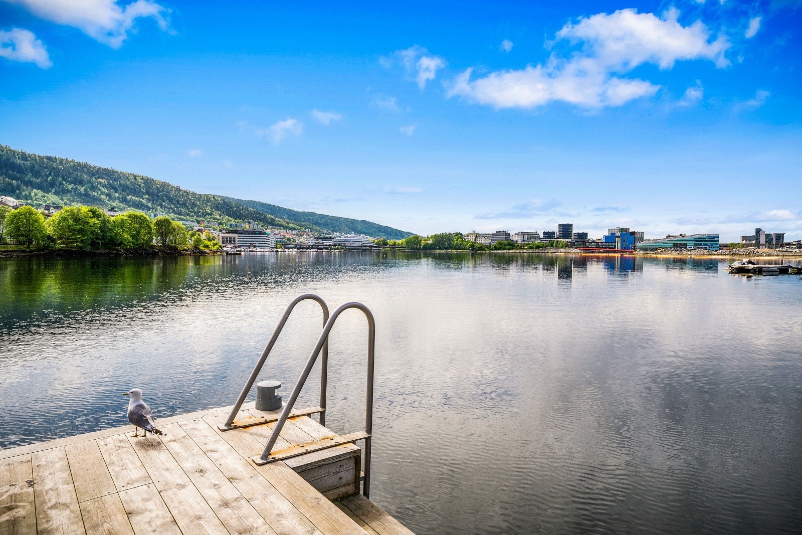 Langs vannet er det flere benker hvor man kan slå seg til ro og nyte de fantastiske omgivelsene. Galleribilde