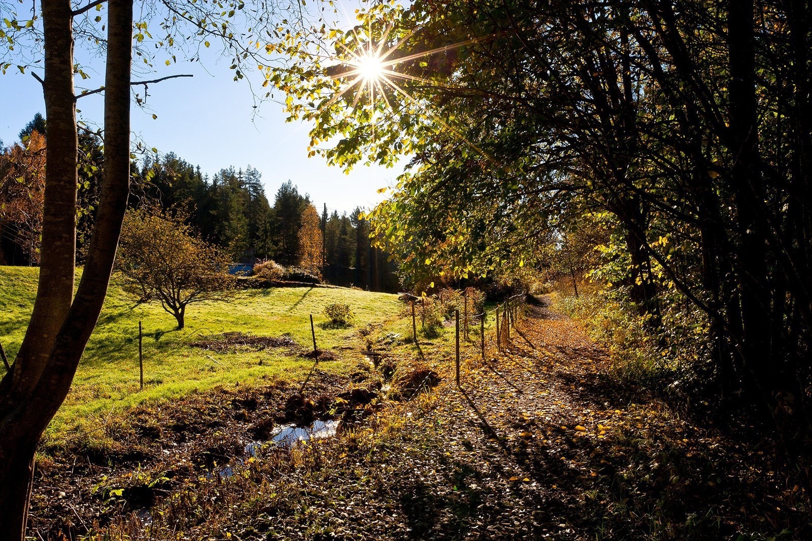 Lillomarka - Blitt et populært område for friluftsliv og fysisk rekreasjon. Galleribilde