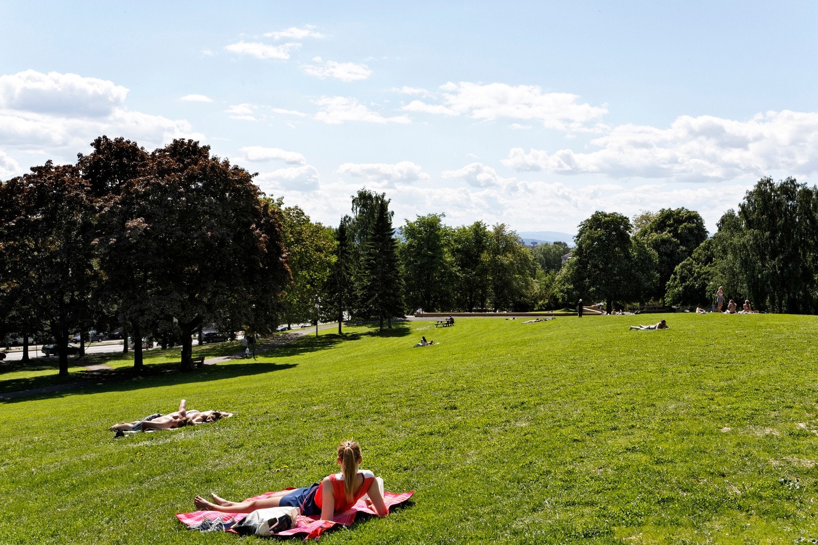 I nærheten har du populære Torshovparken og Torshovdalen, begge med sitt egne flotte preg. Galleribilde