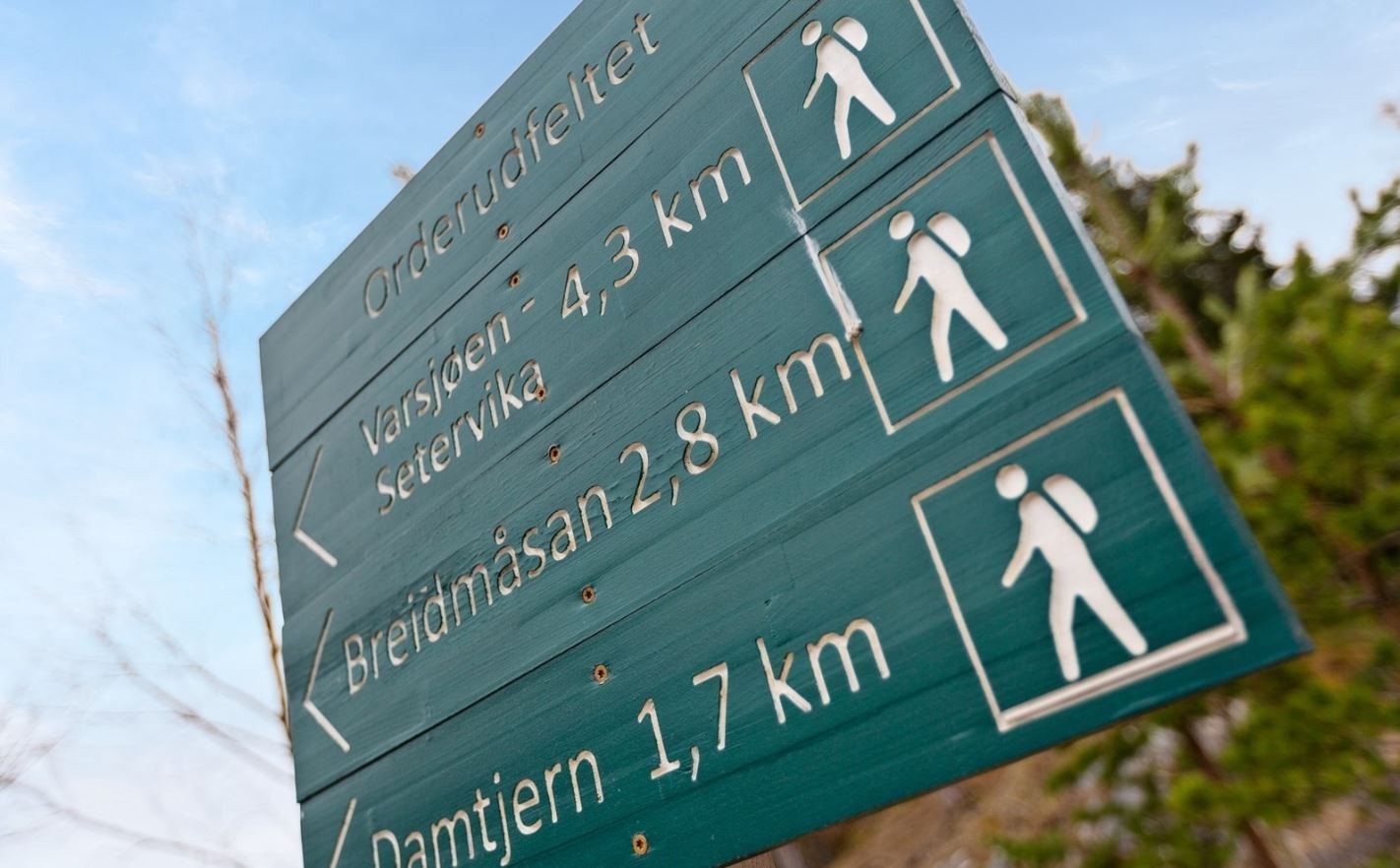 Det er supre turmuligheter i skogen direkte fra boligfeltet. Galleribilde