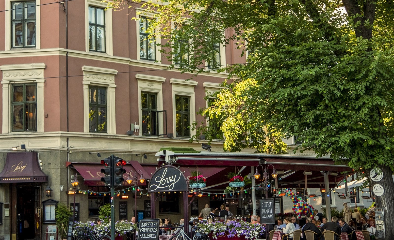 Områdebilde. Galleribilde