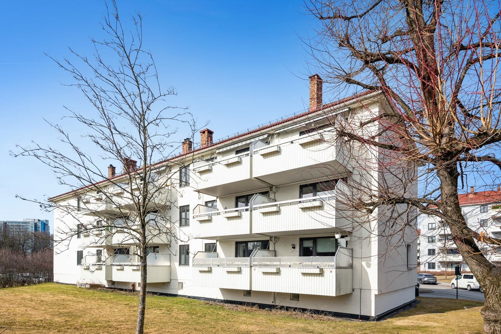 Pent opparbeidet felles tomt med bla. plen og prydbusker. Galleribilde