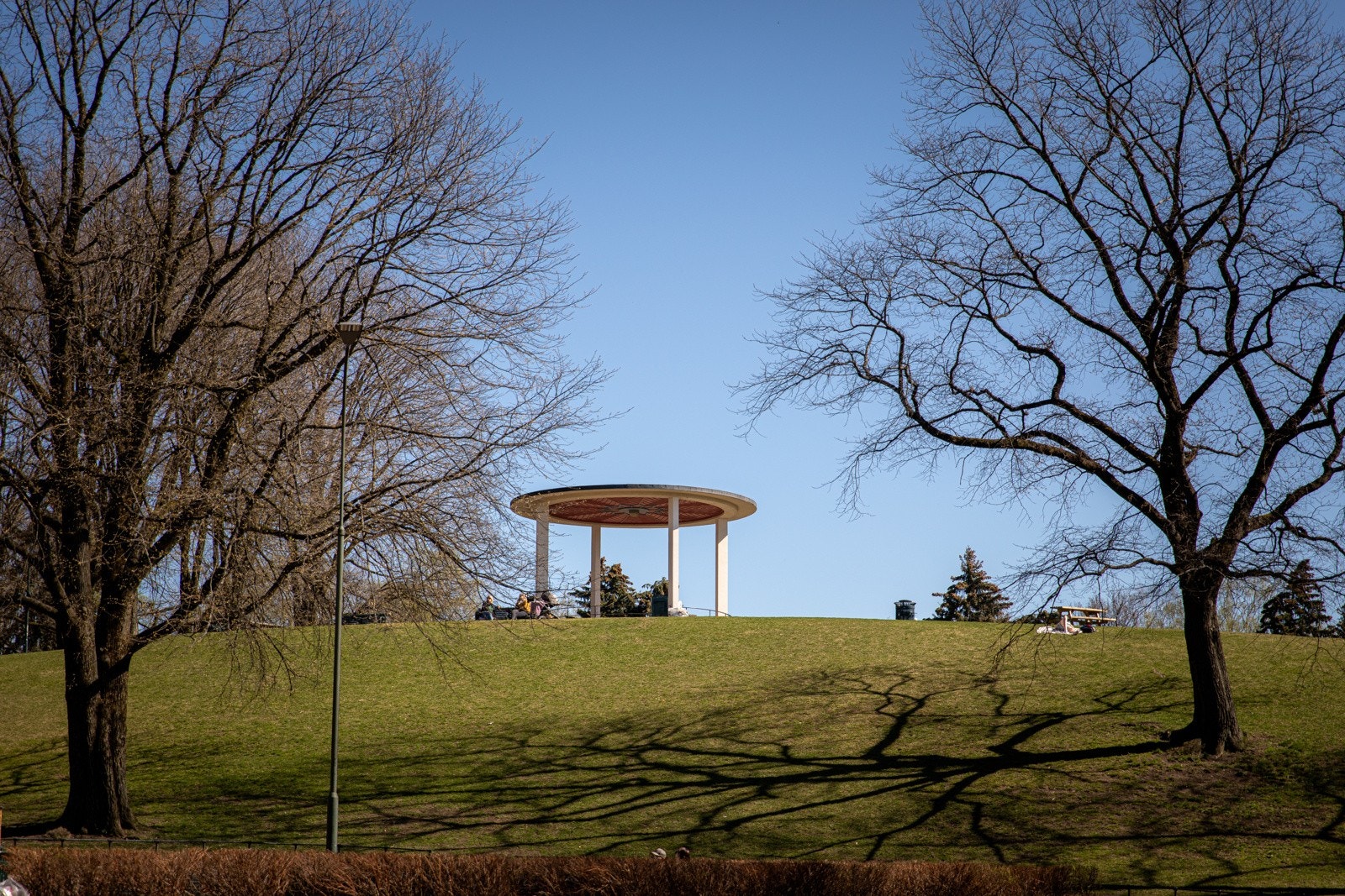 Torshovparken er en grønn oase i hjertet av Torshov, kjent for sine brede gressletter og gamle trær. Parken innbyr til både avslapning og lek, med store plenarealer og opparbeidede gangstier. Galleribilde