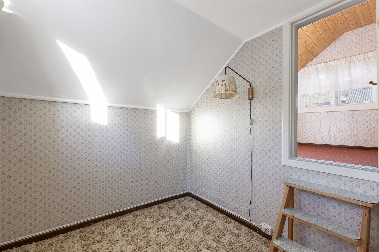 Bod/kott Galleribilde