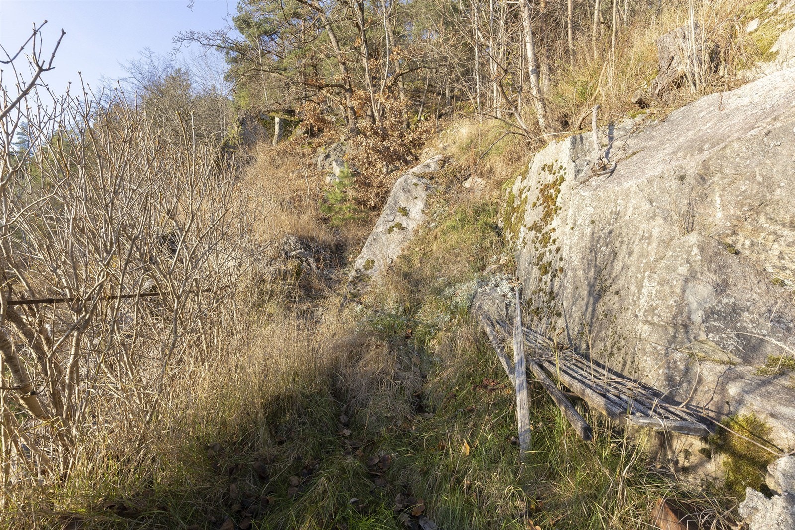 Solrik uteplass i høyden bak tomten Galleribilde