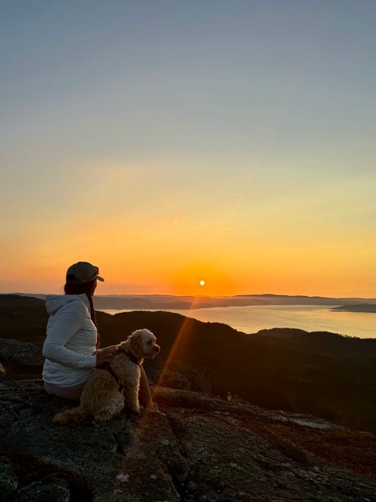 Bilde fra Gråkallen Galleribilde