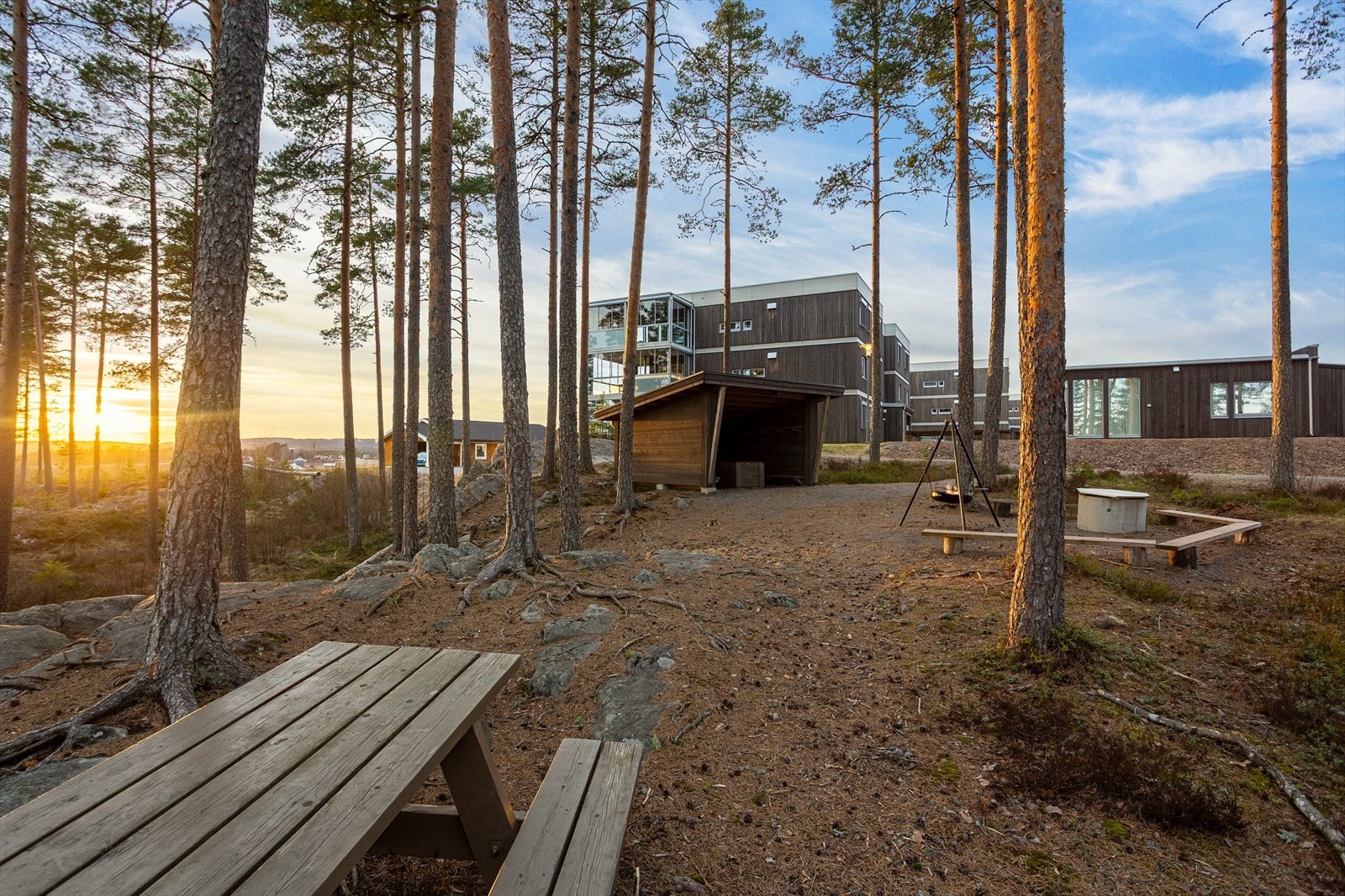 Boligene og felleslokale sett fra den kommunalt eide furuskogen med sitteplasser og gapahuk med grillplass Galleribilde