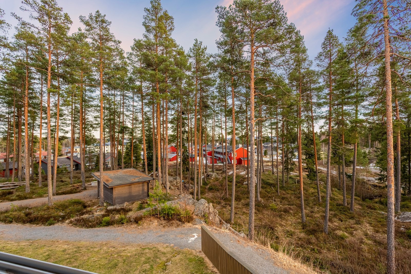 Utsikt Galleribilde