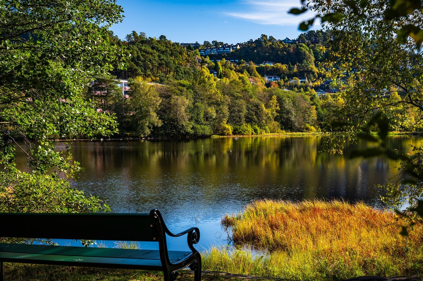 Ortuvannet__IMO_00514_Foto_Christian_Fagerland (1).jpg Galleribilde