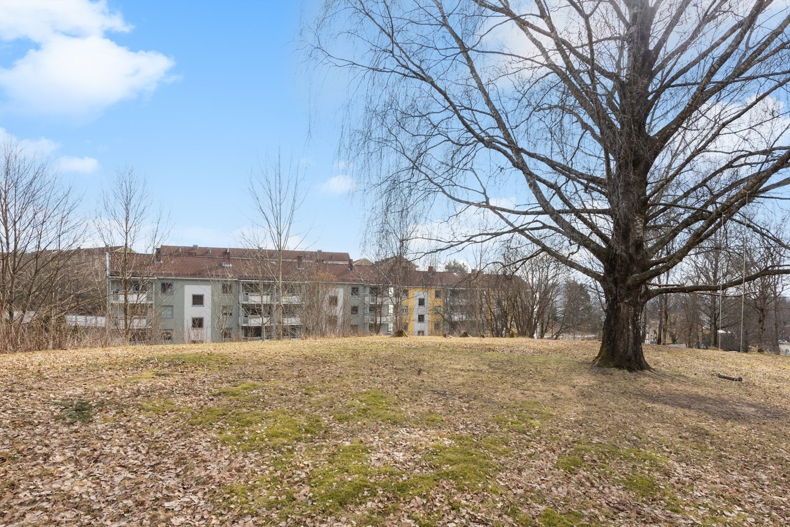 Flotte uteområder rett utenfor leiligheten. Galleribilde