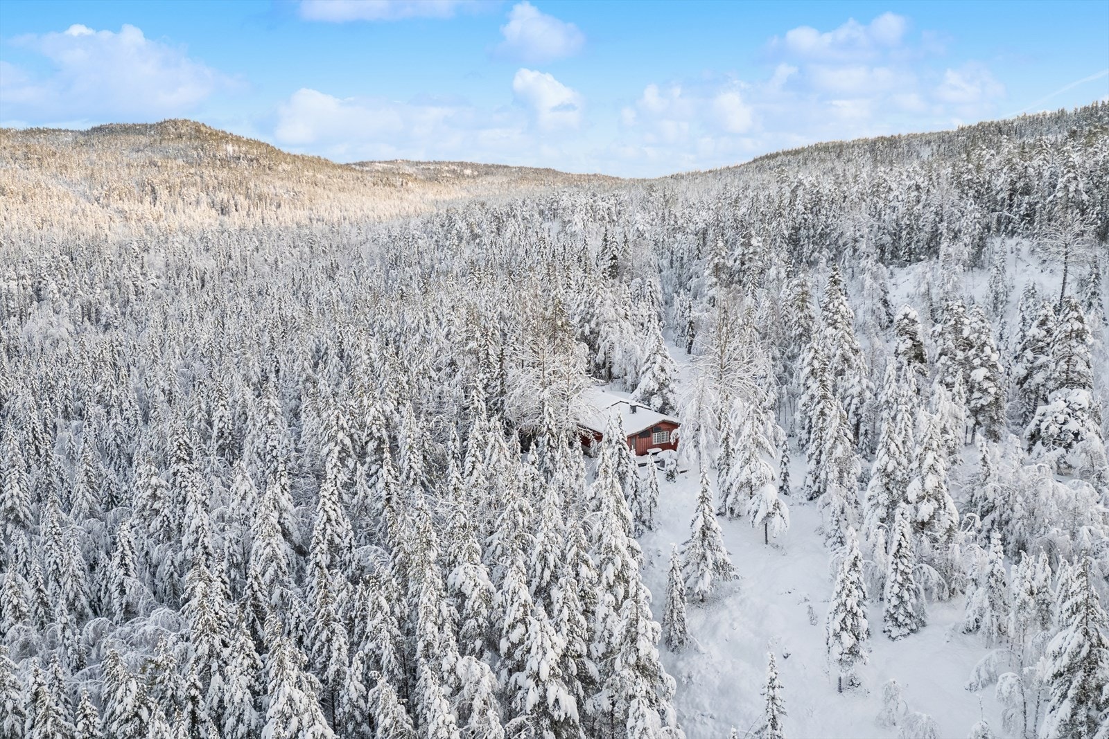 Velkommen til skogen og Støylanevegen 33! Galleribilde