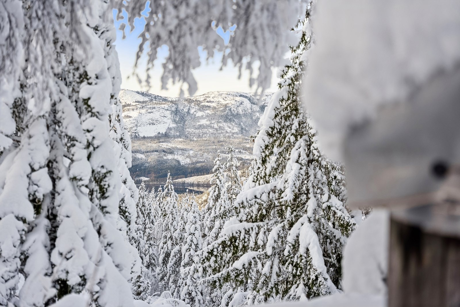 Nydelig utsikt fra platting/stamp! Ta kontakt for visning! Galleribilde
