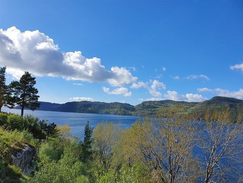 Utsikt Galleribilde