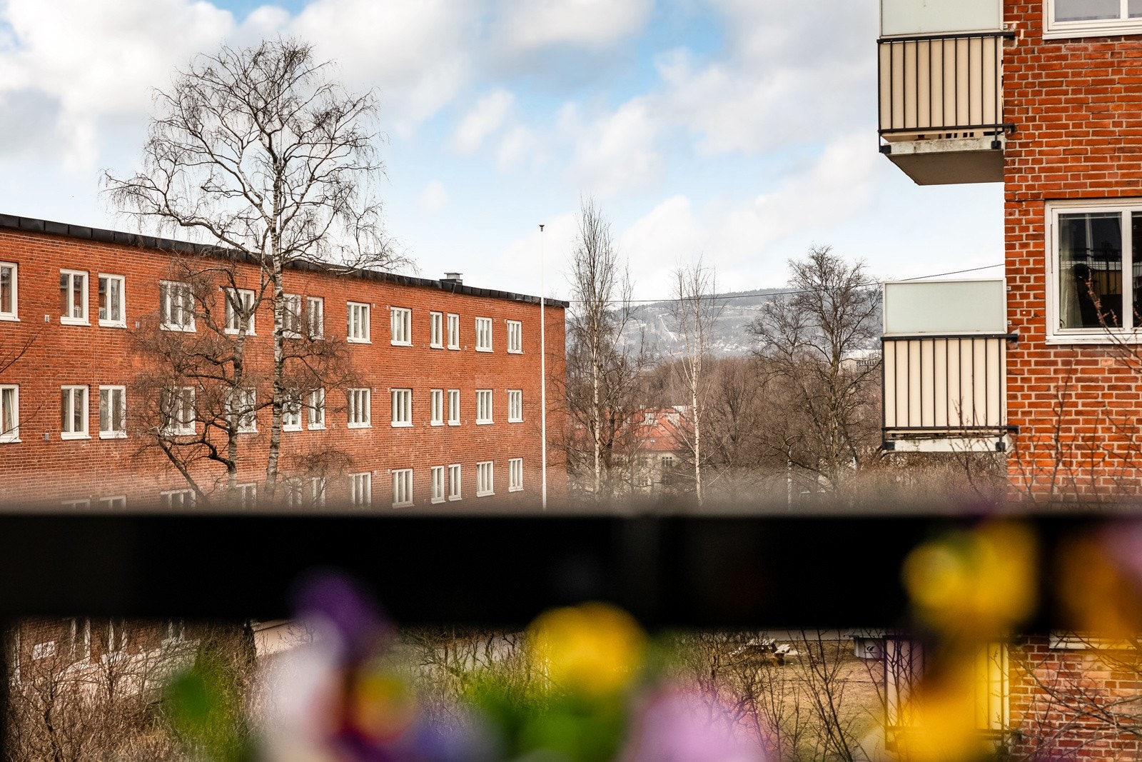 Utsikt fra balkongen. Galleribilde