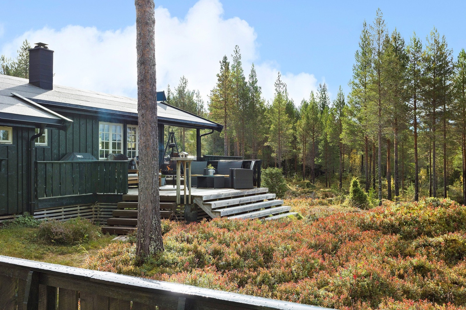 Hytta ligger i et lite hyttefelt som er omkranset av natur. Galleribilde