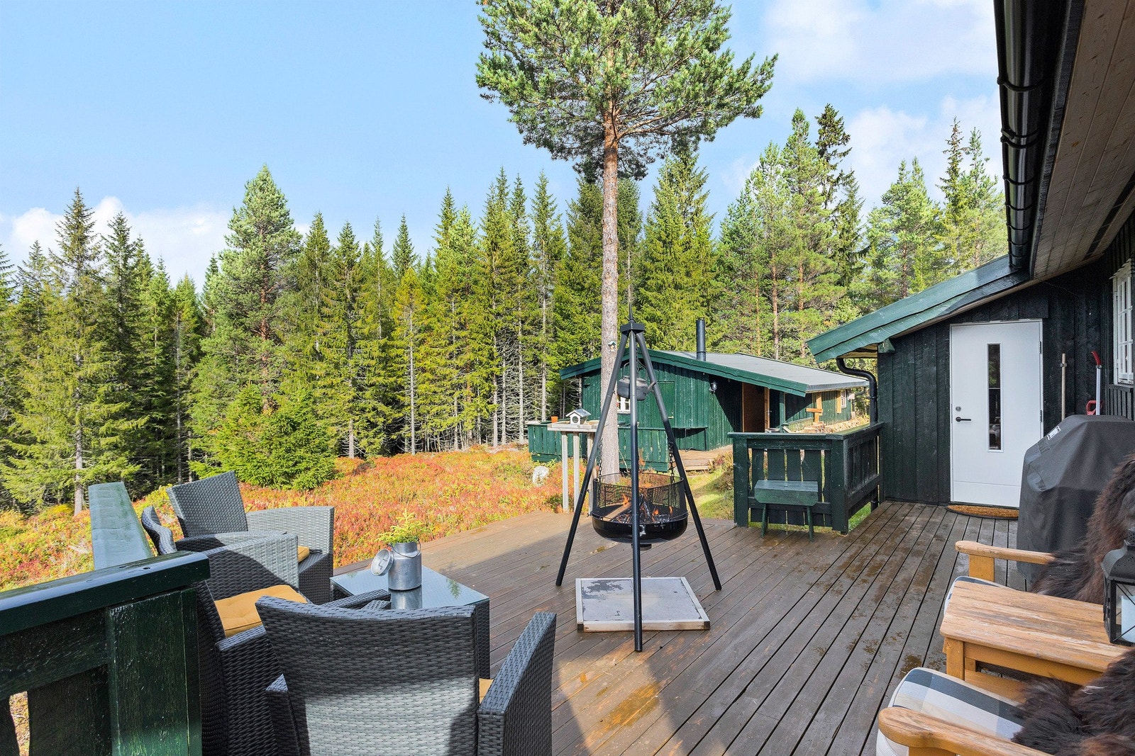 Hytta er omkranset av natur og er derfor meget skjermet for innsyn. Galleribilde