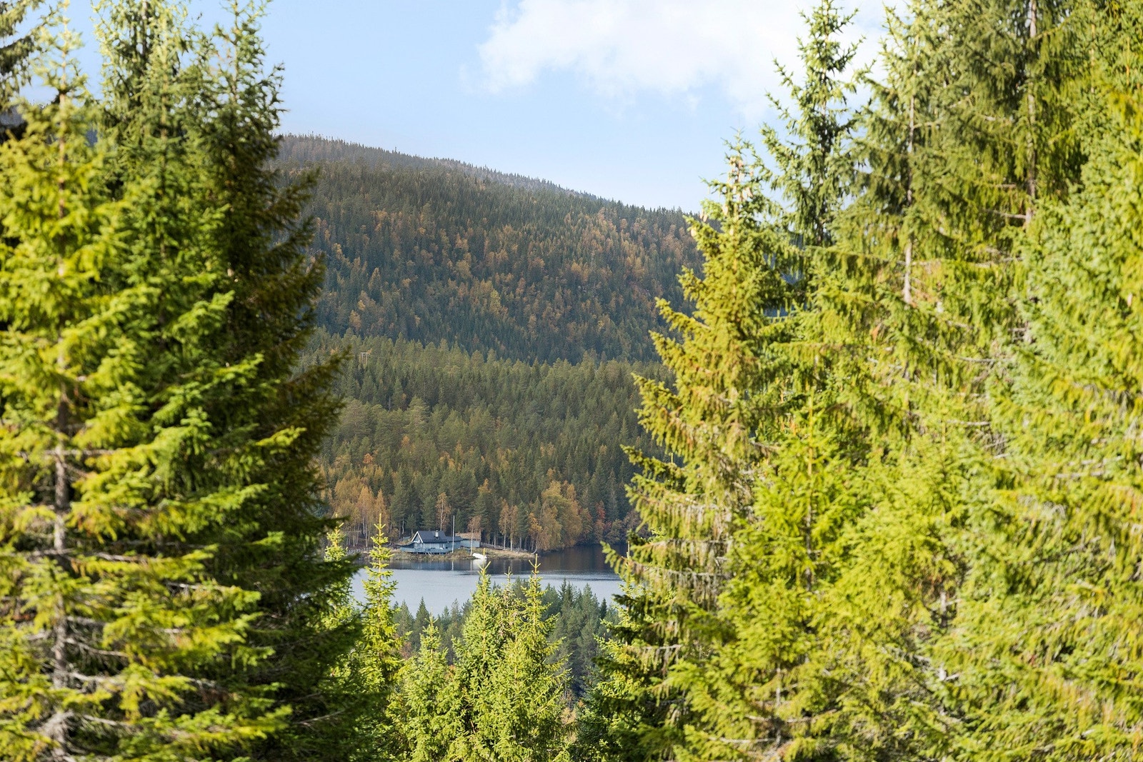 Bare 500 meter fra hytta ligger Slindvatnet som byr på både fisk og bading. Robåt av glassfiber medfølger også salget! Galleribilde