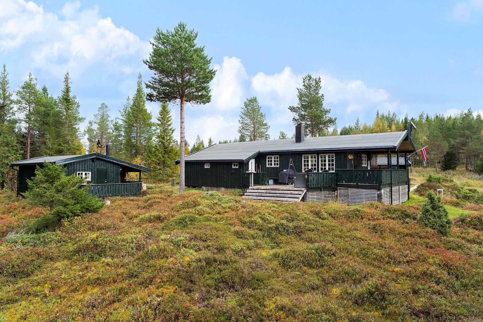 Velkommen til Stenhusvollvegen 36. Innholdsrik og koselig hytte med skjermet beliggenhet. Galleribilde