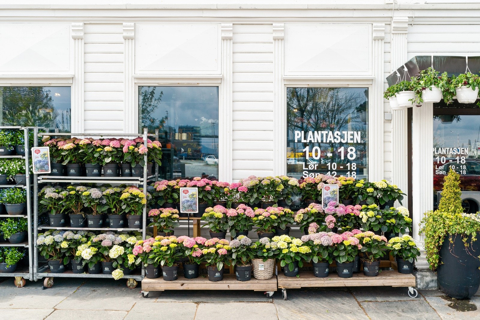 Nærområde. Galleribilde