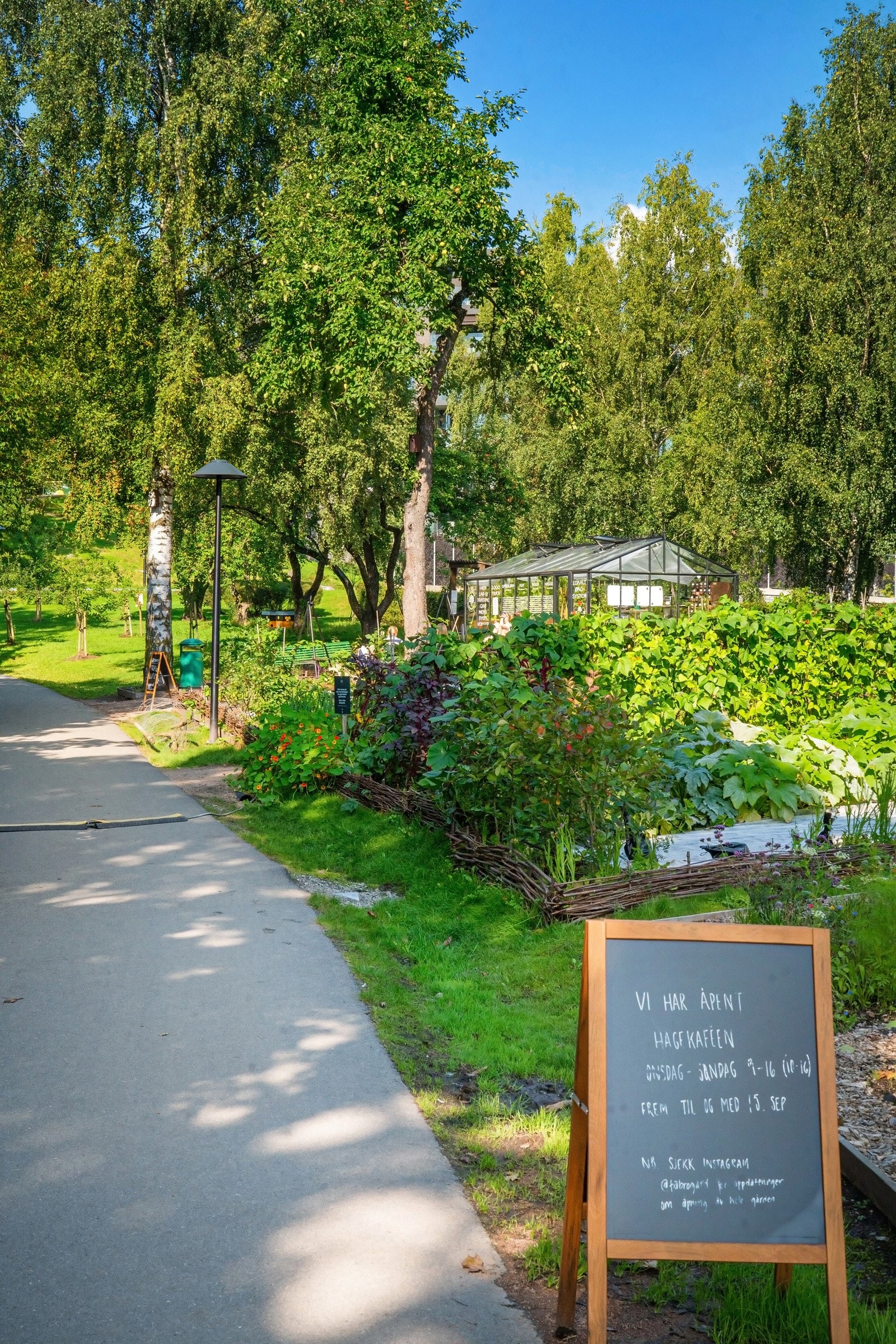 Trivelige Fåbro Gård ligger bare noen minutter unna i bil, og omtales av flere som stedet som serverer Oslos beste bolle. Galleribilde