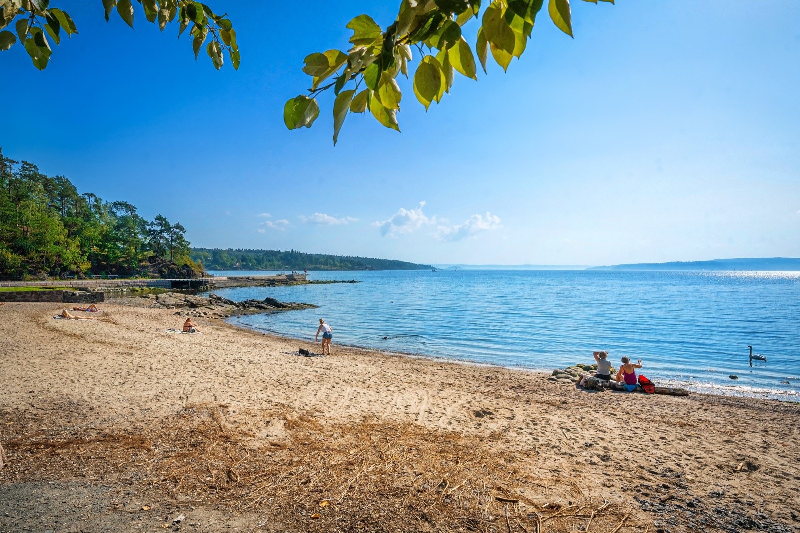 Sollerudstranda er en idyllisk liten strand ved Lysakerelven, kjent for sitt rolige badevann og vakre omgivelser. Galleribilde