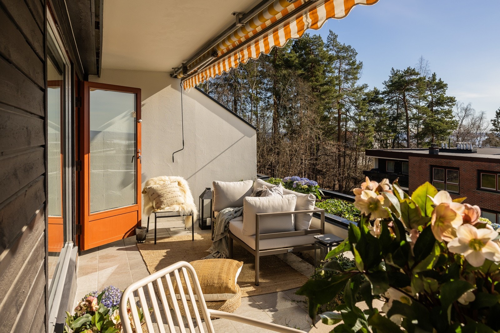 Plantekasse og markise. Galleribilde