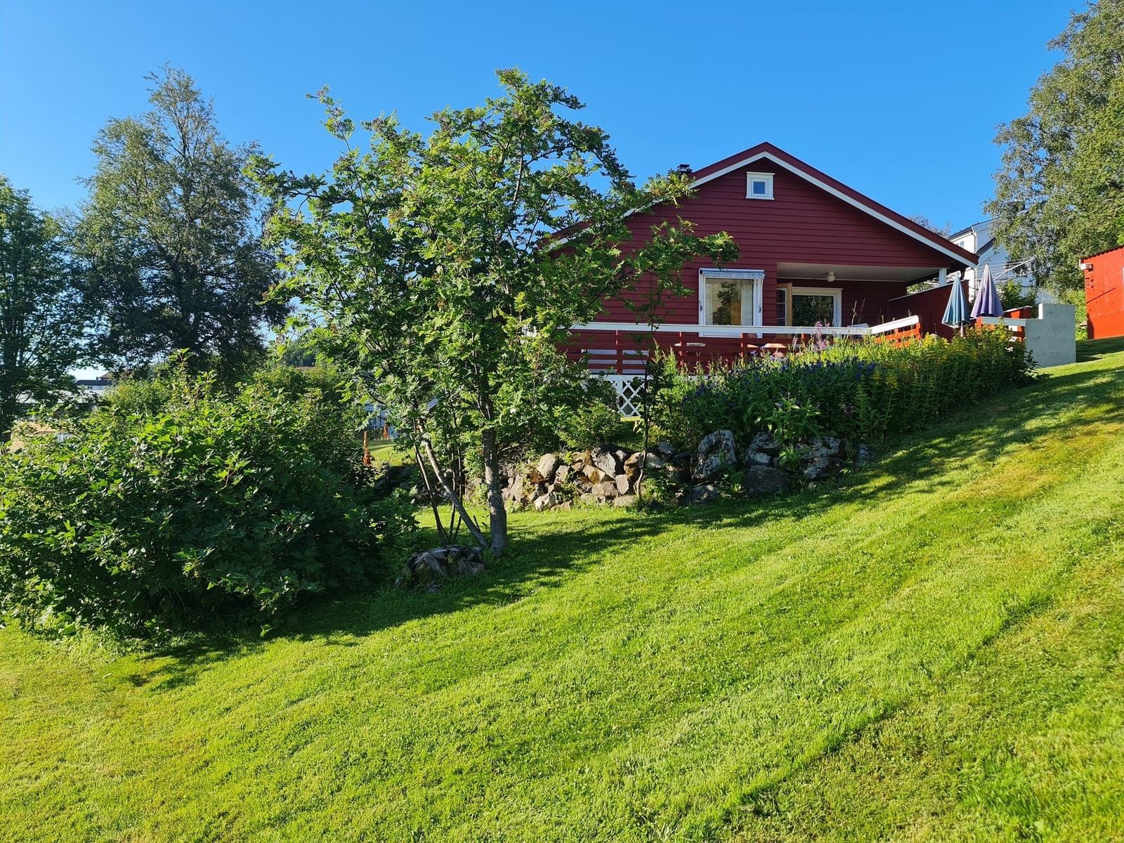 Selgers sommerbilder Galleribilde