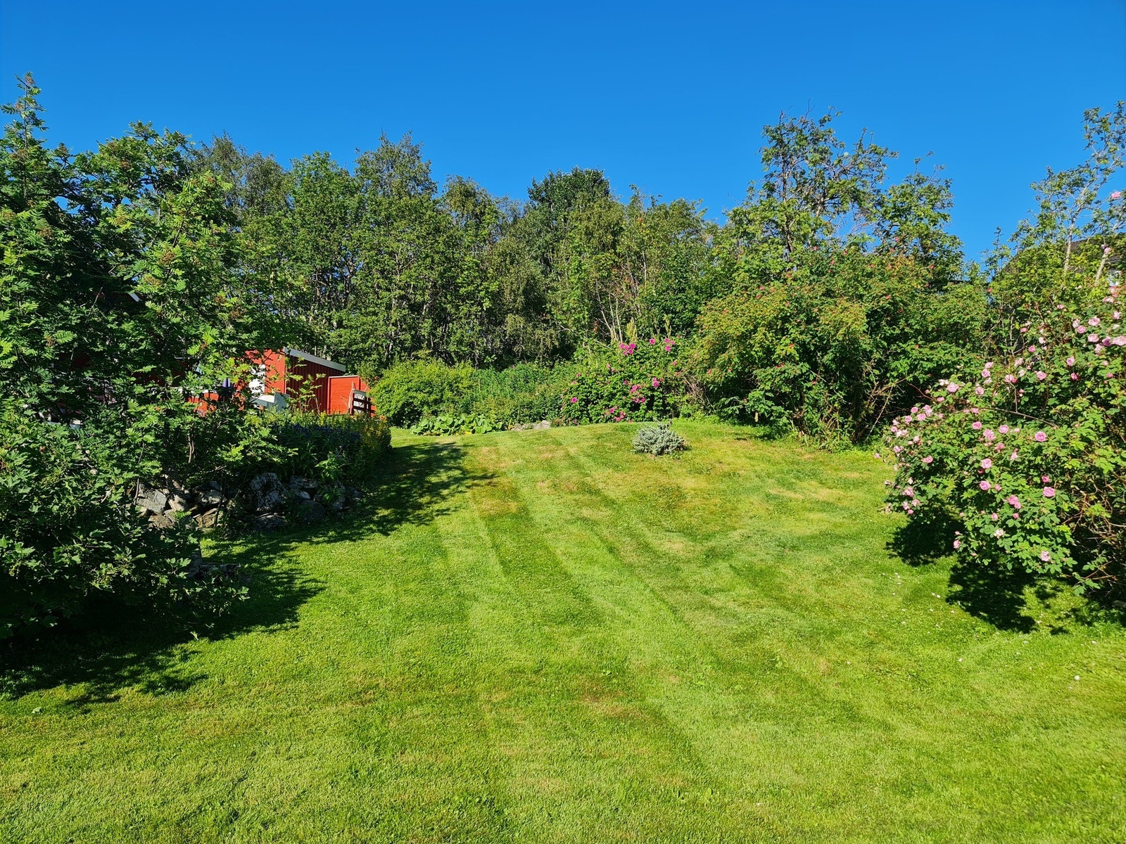 Selgers sommerbilder Galleribilde