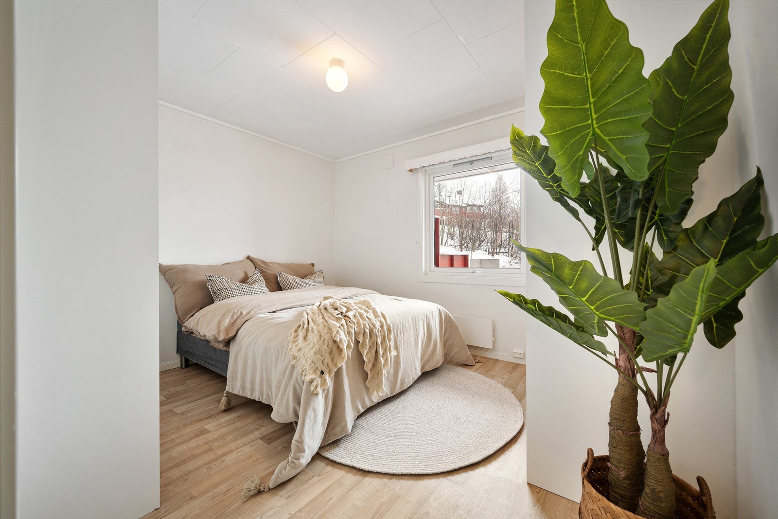 Hovedsoverom Galleribilde