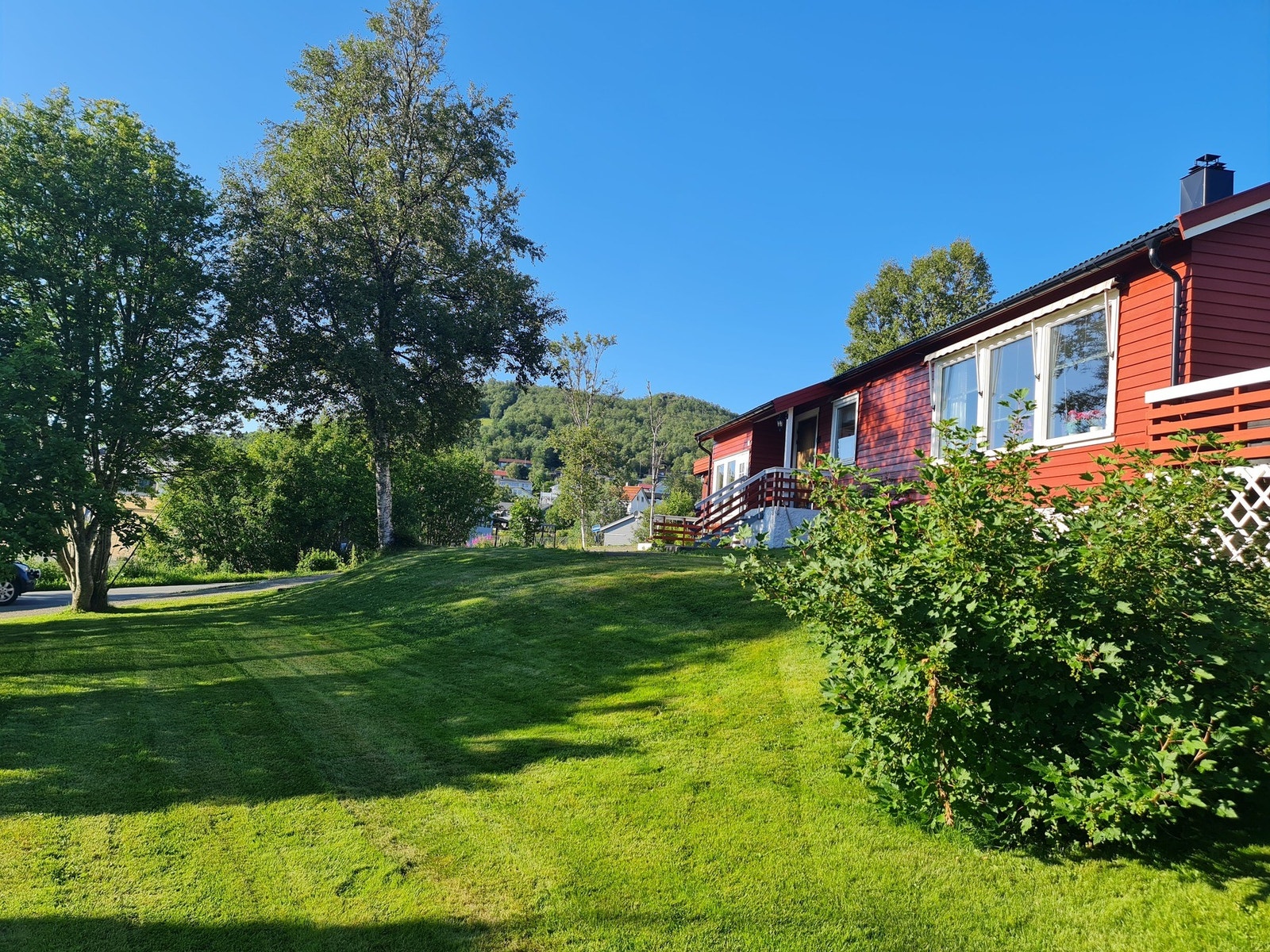 Selgers sommerbilder Galleribilde