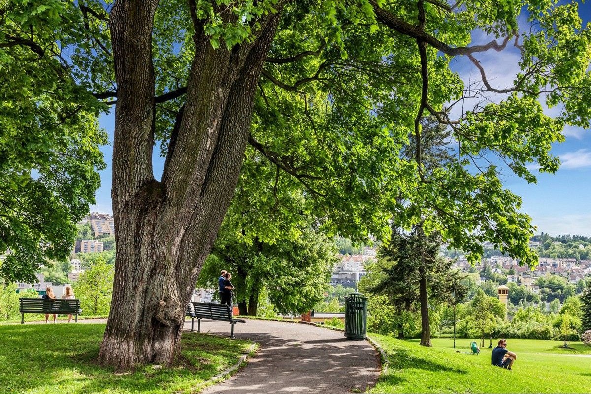 Vålerenga park er ypperlig for soling, avslapping og trening, og ligger bare noen sekunders gange fra din egen inngangsdør. Galleribilde