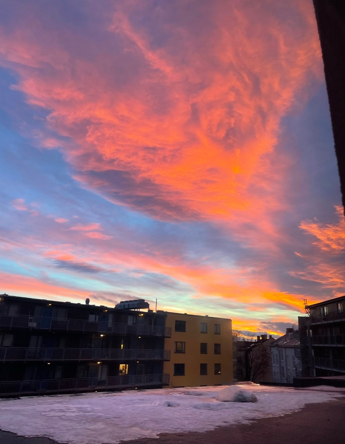 Selgers bilde. Galleribilde