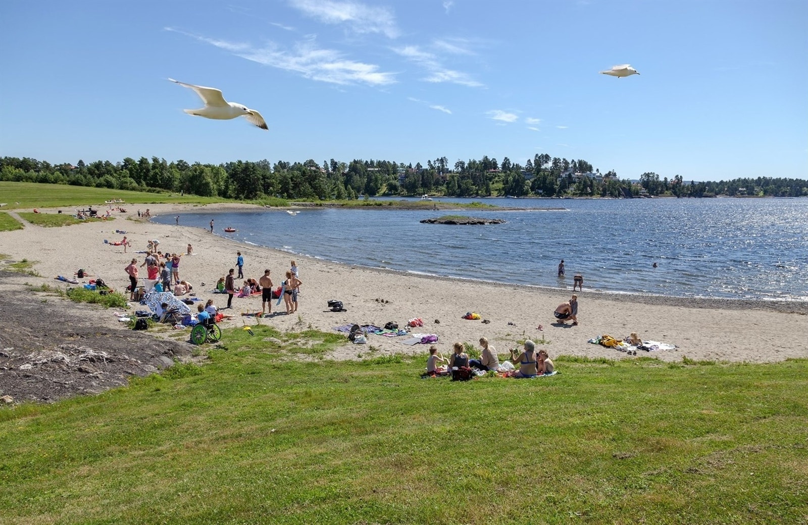 Fornebustranda ligger en kort spasertur unna. Galleribilde