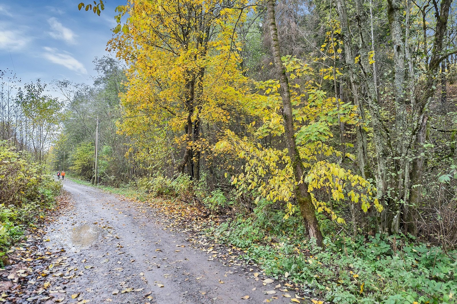 Mærradalen. Galleribilde
