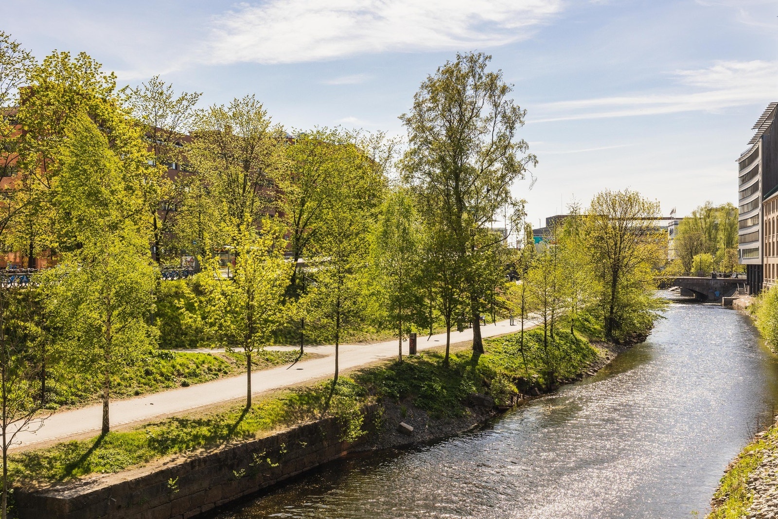 Nærområde. Galleribilde