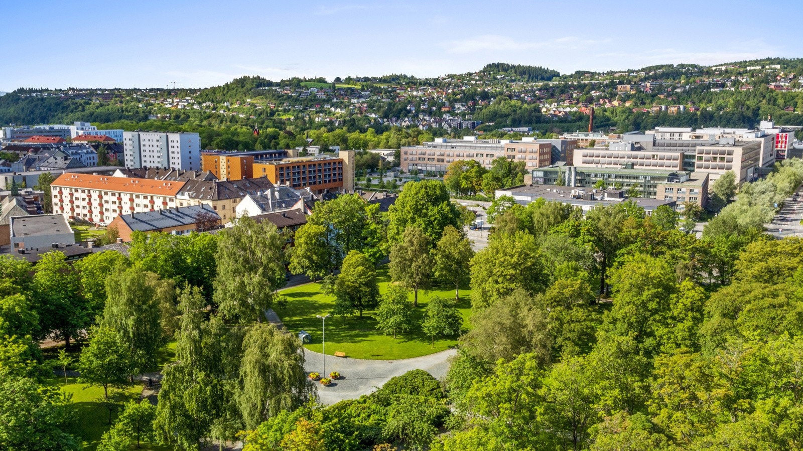 Høyskoleparken ligger like ved boligen og er et populært sted for grilling, soling og avslapping. Galleribilde