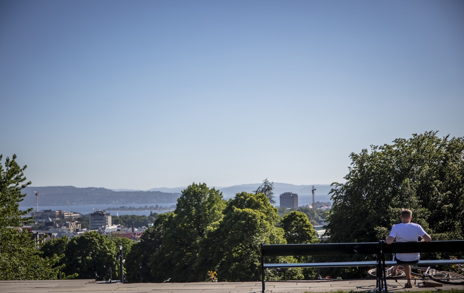 Nærområdet. Galleribilde