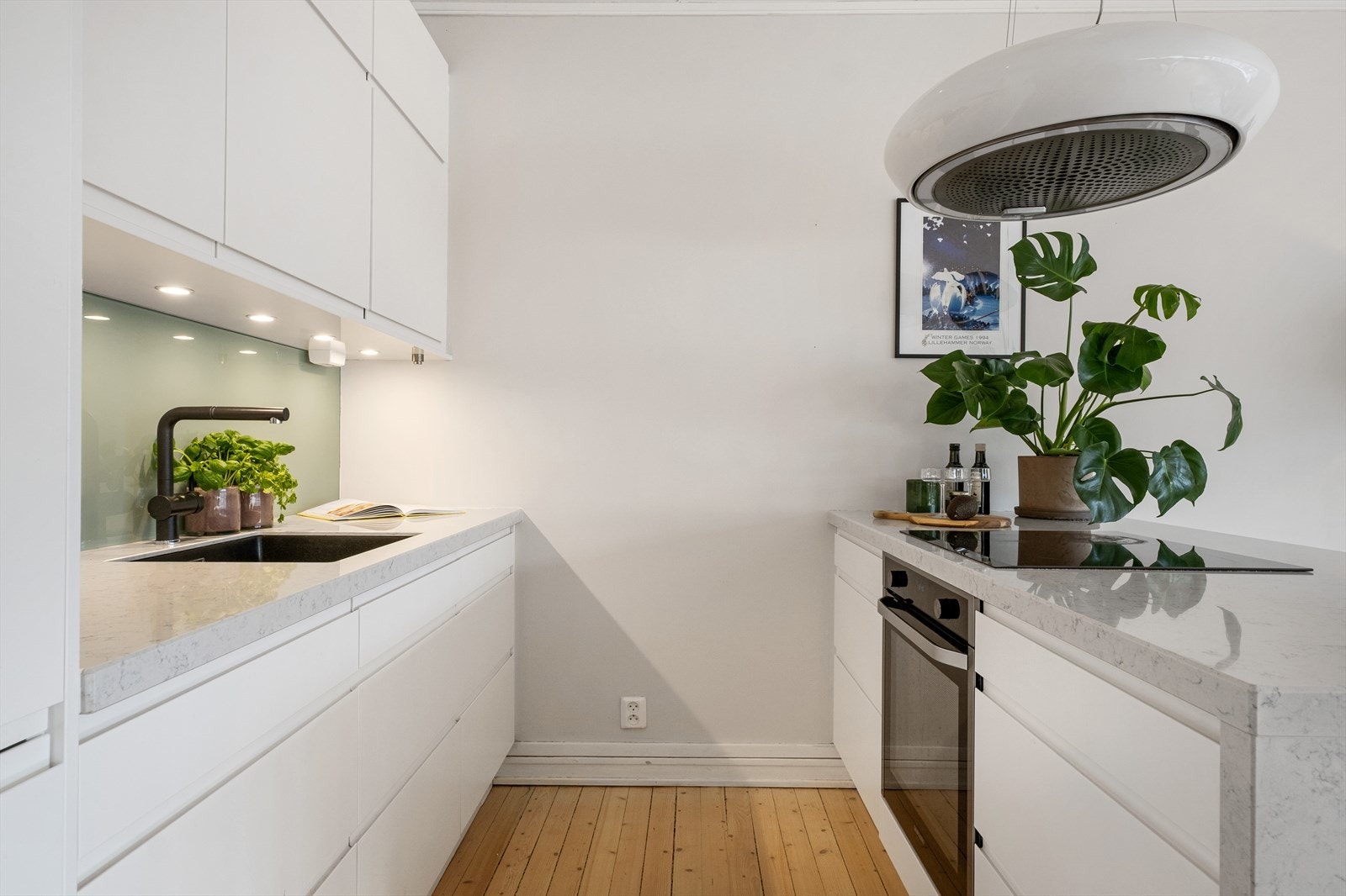 Av hvitevarer er det integrert induksjonstopp, stekeovn, oppvaskmaskin og kjøl/ fryseskap. Kullfilterventilator over kokeplass. Galleribilde