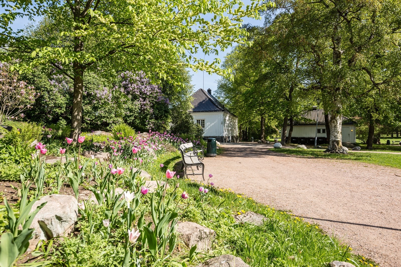 Vakre grønne omgivelser hos Anne på Landet i Frognerparken. Galleribilde