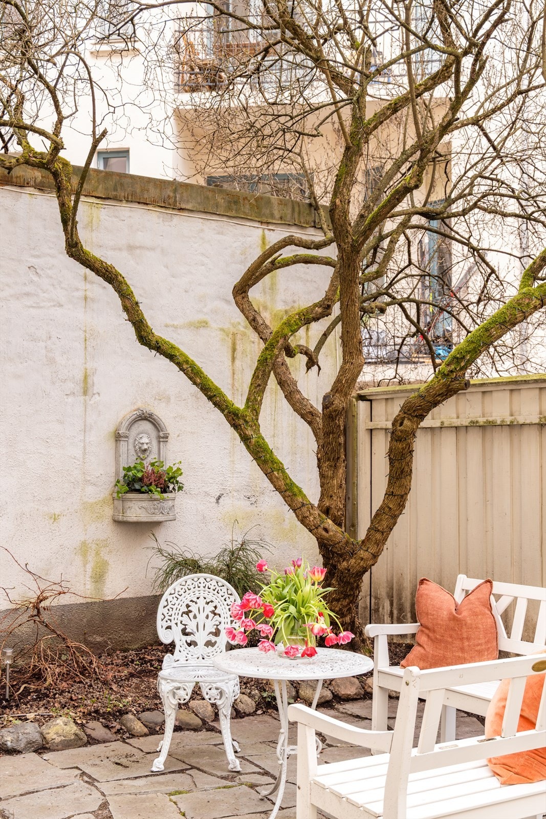 Skjermet bakgård med trær og beplantning. Galleribilde