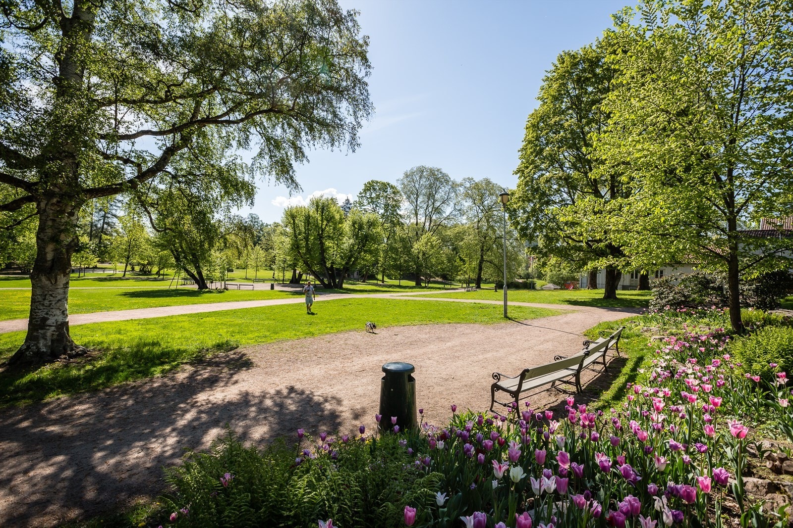 Frognerparken er fredet etter kulturminneloven. I parken finner man mange ulike treslag; parklind, spisslønn, platanlønn, alm, poppel og ask. Parken har også Norges største rosesamling, som består av 14 000 roser fordelt på 150 ulike arter. Galleribilde